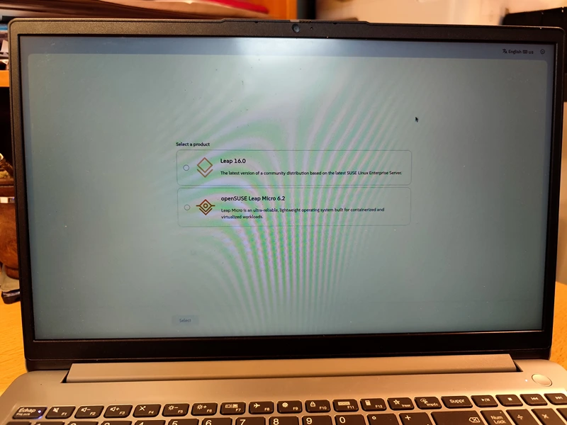 choice between leap and leap micro