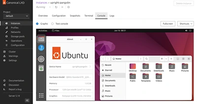 lxd interface