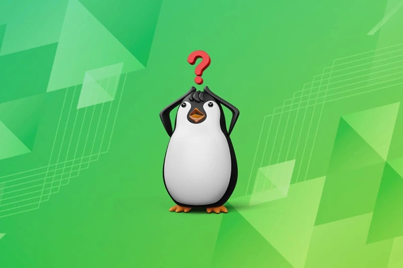 a penguin