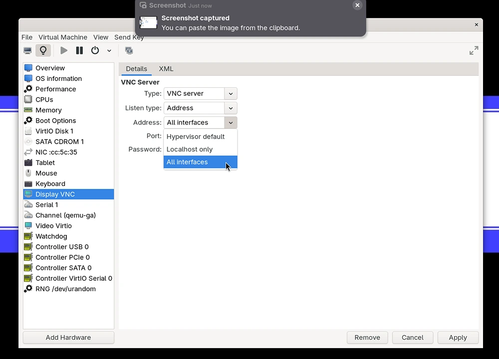 vm manager display options